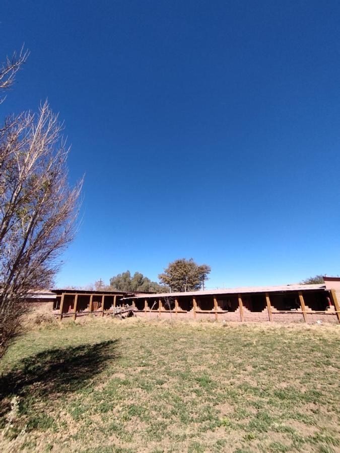 Puna Hostel San Pedro de Atacama Exterior photo
